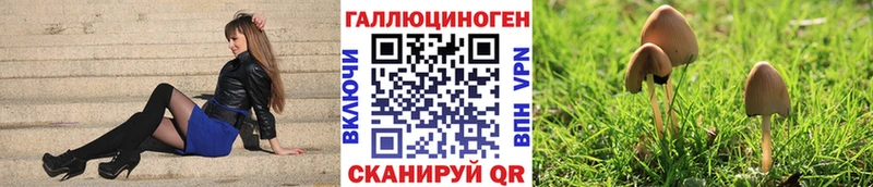купить наркоту  Печоры  Галлюциногенные грибы Magic Shrooms 
